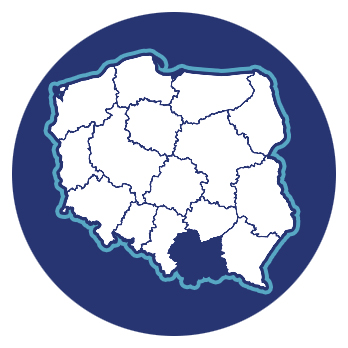 Portret Regionu Małopolskiego